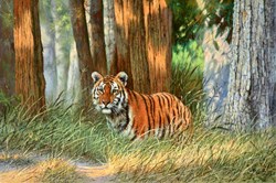 Young Tiger, Pench National Park, India by Tony Forrest - Original Painting on Stretched Canvas sized 30x20 inches. Available from Whitewall Galleries