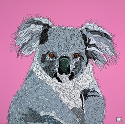 Koala on Pink by Dylan Izaak - Original Painting on Aluminium sized 28x28 inches. Available from Whitewall Galleries