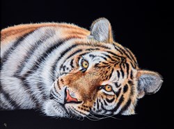 Looking at You Looking at me by Gina Hawkshaw - Original Painting on Box Canvas sized 40x30 inches. Available from Whitewall Galleries