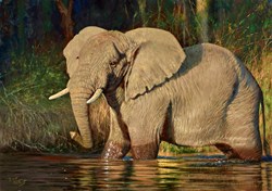 Elephant on Zambian River by Tony Forrest - Original Painting on Stretched Canvas sized 23x17 inches. Available from Whitewall Galleries