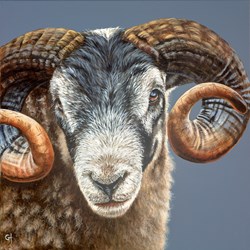 A Ram's Identity by Gina Hawkshaw - Original Painting on Stretched Canvas sized 16x16 inches. Available from Whitewall Galleries