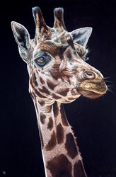 Giraffe II by Gina Hawkshaw - Original Painting on Box Canvas sized 20x30 inches. Available from Whitewall Galleries
