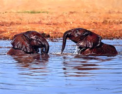 Water Babies by Pip McGarry - Original Painting on Stretched Canvas sized 18x14 inches. Available from Whitewall Galleries