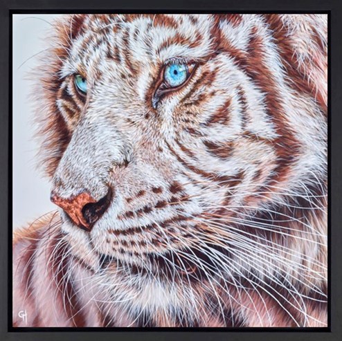 Snow Tiger by Gina Hawkshaw - Framed Original Painting on Box Canvas