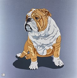 Bulldog IV by Dylan Izaak - Original Painting on Aluminium sized 28x28 inches. Available from Whitewall Galleries
