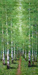 Refreshing by Inam - Original Painting on Stretched Canvas sized 25x50 inches. Available from Whitewall Galleries