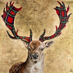 Fallow Royalist by Hayley Goodhead - Original Painting on Box Canvas sized 24x24 inches. Available from Whitewall Galleries