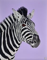 Zebra on Purple by Dylan Izaak - Original Painting on Aluminium sized 32x40 inches. Available from Whitewall Galleries