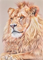 Lion Heart by Darryn Eggleton - Original Drawing on Mounted Paper sized 19x27 inches. Available from Whitewall Galleries