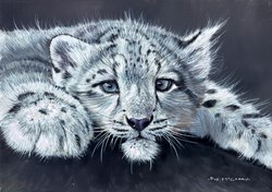 Snow Leopard Cub by Pip McGarry - Original Painting on Stretched Canvas sized 14x10 inches. Available from Whitewall Galleries