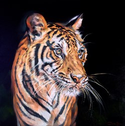 Tigress by Debbie Boon - Original Painting on Box Canvas sized 40x40 inches. Available from Whitewall Galleries