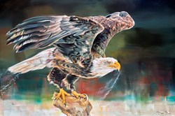 The Eagle Has Landed by Debbie Boon - Original Painting on Box Canvas sized 47x32 inches. Available from Whitewall Galleries