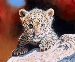 Leopard Cub by Pip McGarry - Original Painting on Stretched Canvas sized 12x10 inches. Available from Whitewall Galleries