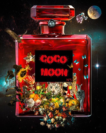 Coco Moon by Diederik Van Apple - Mixed Media on Aluminium