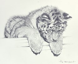 Deep In Thought by Pip McGarry - Original Drawing on Mounted Paper sized 9x7 inches. Available from Whitewall Galleries