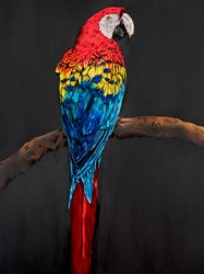 Sound and Vision by Stephen Ford - Original Painting on Board sized 24x32 inches. Available from Whitewall Galleries