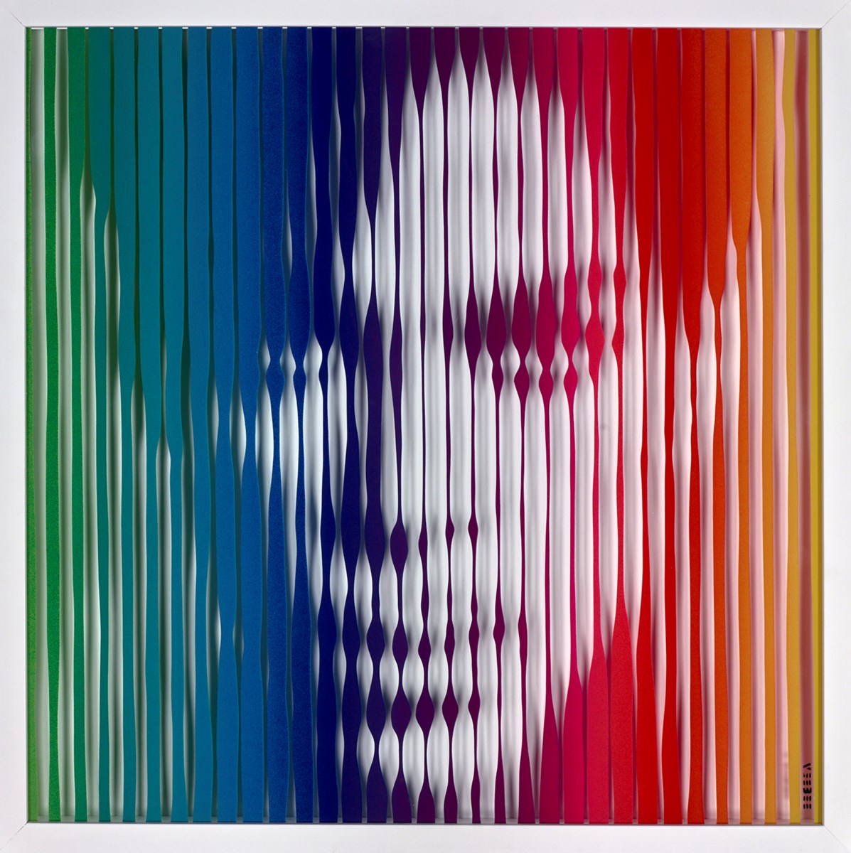 Prince (Rainbow)
