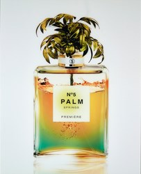 Palm Springs by Axel Crieger - Diasec C-Type Print sized 34x41 inches. Available from Whitewall Galleries