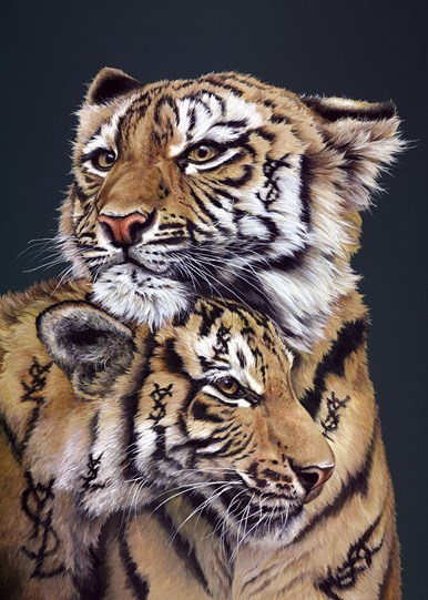 Young Sweet Love by Hayley Goodhead - Limited Edition Box Canvas