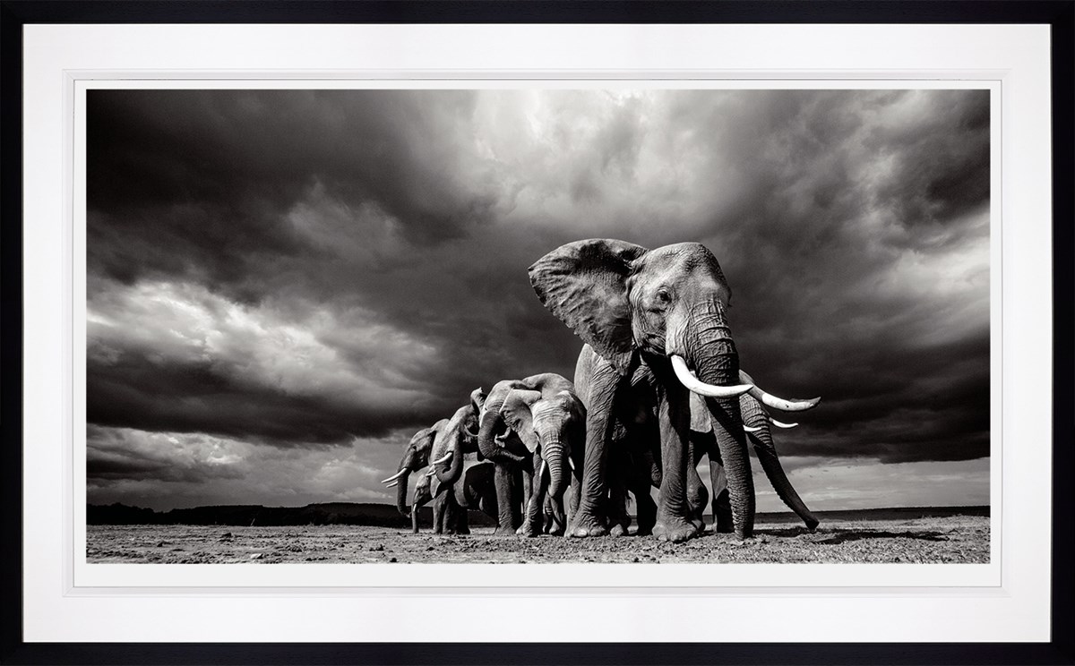 Steadfast framed image