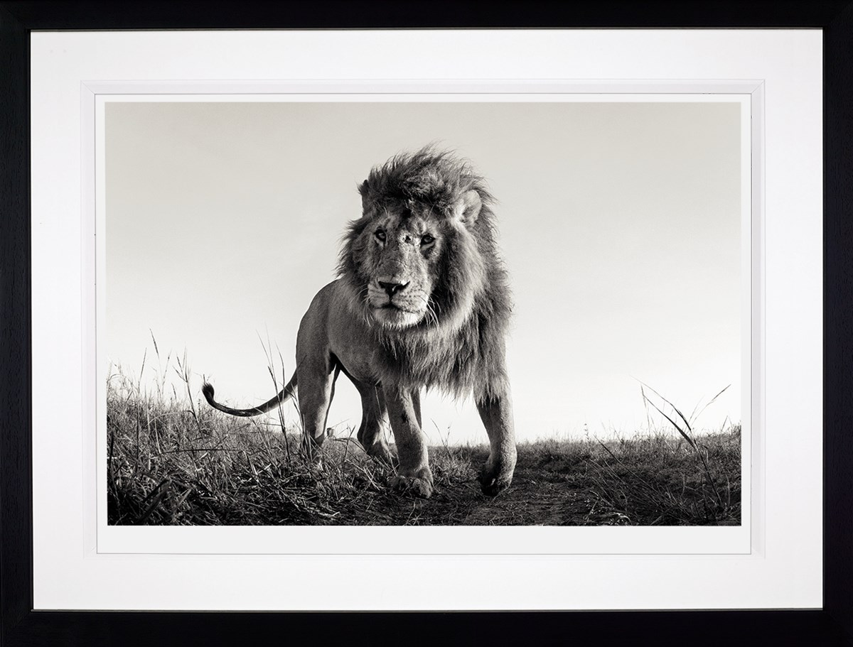 Hunter framed image