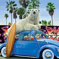Surfs Up by Steve Tandy - Box Canvas sized 22x22 inches. Available from Whitewall Galleries